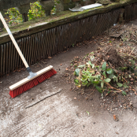 kentucky tree services brush removal