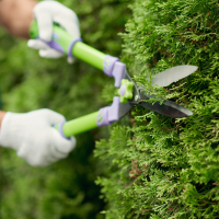 kentucky tree services bush trimming