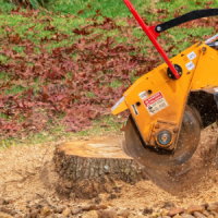 tree service ky stump removal